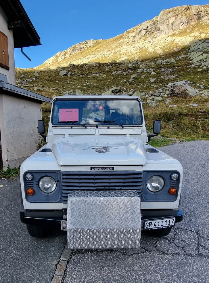 Land Rover Defender 110 2.5 Tdi SW Land Rover Land Rover Defender 110 2.5 Tdi SW
