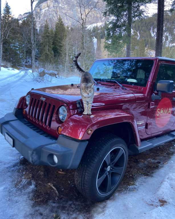 Jeep Wrangler 3.6 V6 Sahara Unlimited Jeep Jeep Wrangler 3.6 V6 Sahara Unlimited