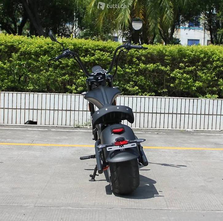 Mangosteen M1PS Super-Blake 1.0 80Km/h Mangosteen Mangosteen M1PS Super-Blake 1.0 80Km/h