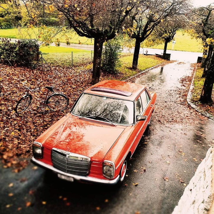 Mercedes-Benz 230 W115 /8 Mercedes-Benz Mercedes-Benz 230 W115 /8