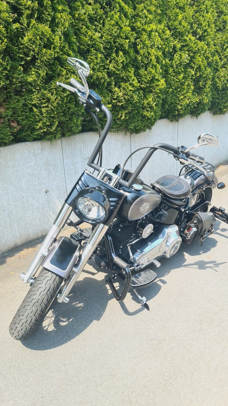 Harley-Davidson FLS 1690 Softail Slim ABS Harley-Davidson Harley-Davidson FLS 1690 Softail Slim ABS