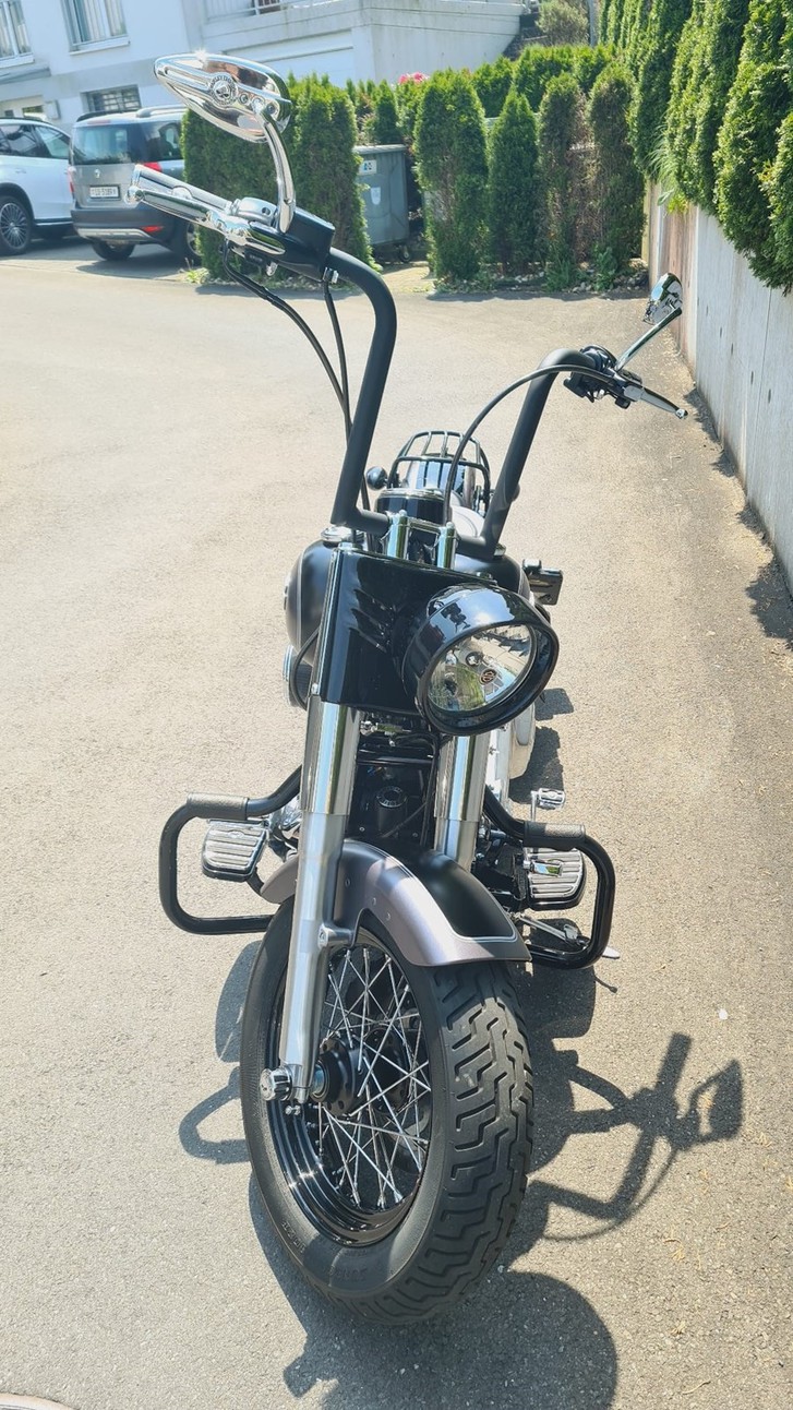 Harley-Davidson FLS 1690 Softail Slim ABS Harley-Davidson Harley-Davidson FLS 1690 Softail Slim ABS