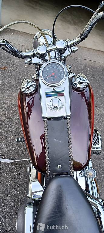 Harley Davidson FXSTS Springer Softail Harley Davidson Harley Davidson FXSTS Springer Softail