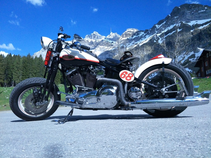 Harley-Davidson FLSTS Heritage Springer, perfekt für Individualisten HARLEY-DAVIDSON HARLEY-DAVIDSON FLSTS Heritage Springer