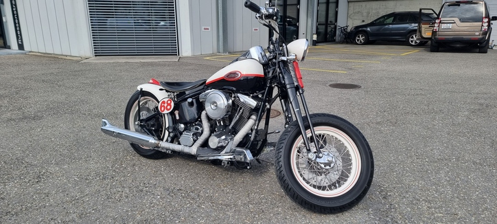 Harley-Davidson FLSTS Heritage Springer, perfekt für Individualisten HARLEY-DAVIDSON HARLEY-DAVIDSON FLSTS Heritage Springer