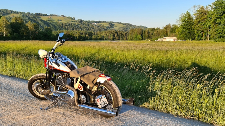 Harley-Davidson FLSTS Heritage Springer, perfekt für Individualisten HARLEY-DAVIDSON HARLEY-DAVIDSON FLSTS Heritage Springer