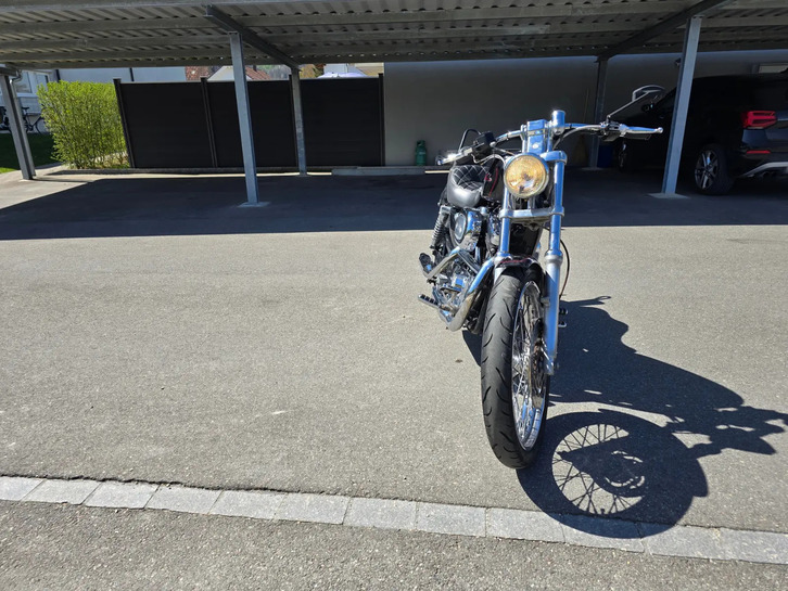 Harley-Davidson XL 1200 C - Top Zustand, sofort verfügbar HARLEY-DAVIDSON HARLEY-DAVIDSON XL 1200 C