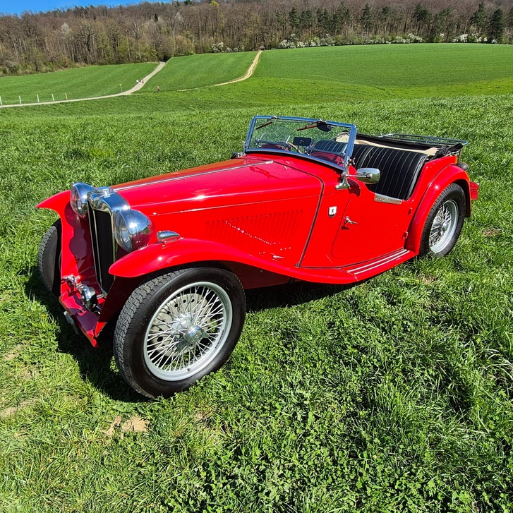 Seltenes MG Midget TC von 1947 - Perfekt restauriert MG MG Midget Serie TC