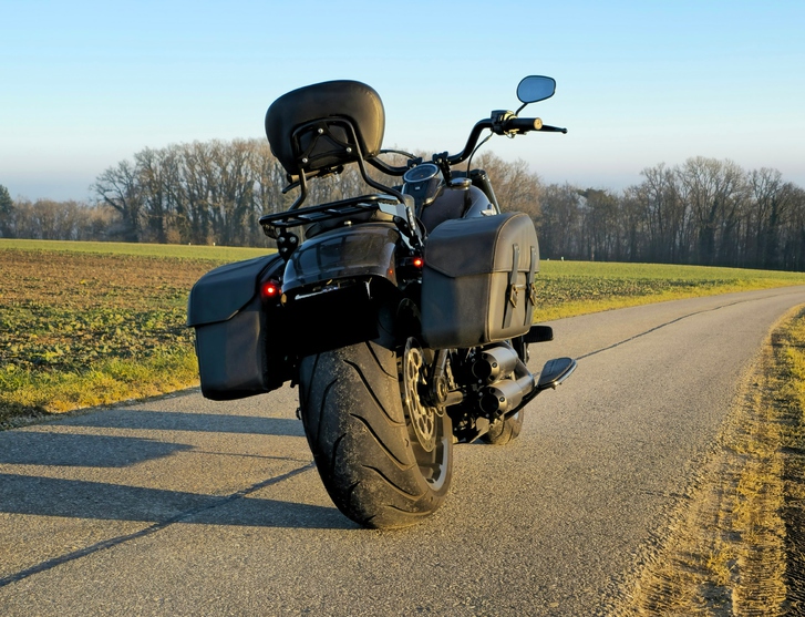 Harley-Davidson Fat Boy 114 ABS 2019 - Top Zustand HARLEY-DAVIDSON HARLEY-DAVIDSON FLFBS Fat Boy 114 ABS