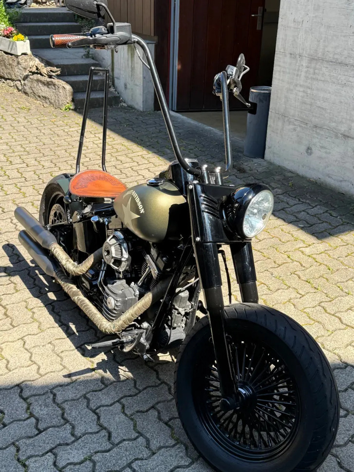 Harley-Davidson Softail Slim S110 ABS kaufen HARLEY-DAVIDSON HARLEY-DAVIDSON FLSS Softail Slim S110 ABS