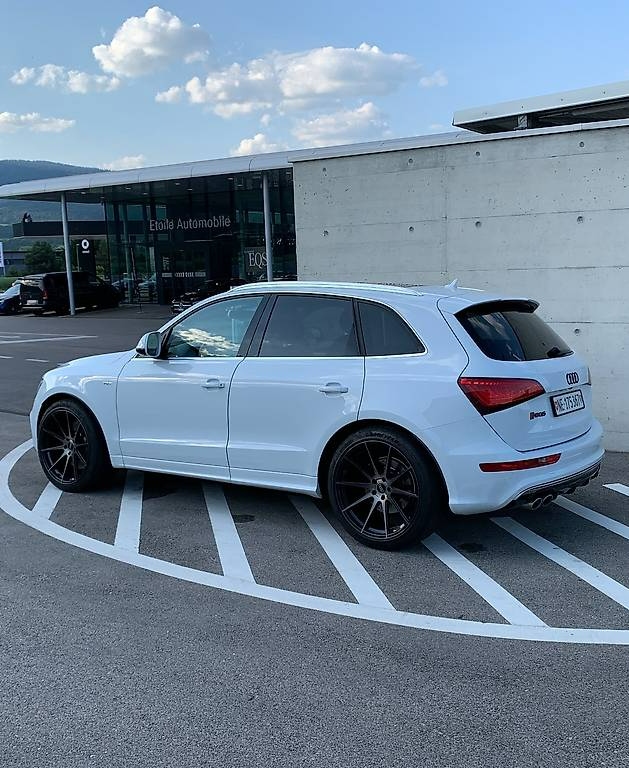 Audi SQ5 3.0 V6 Bi-TDI quattro - 2025, Top-Zustand Audi Audi SQ5 3.0 V6 Bi-TDI quattro T-Tronic