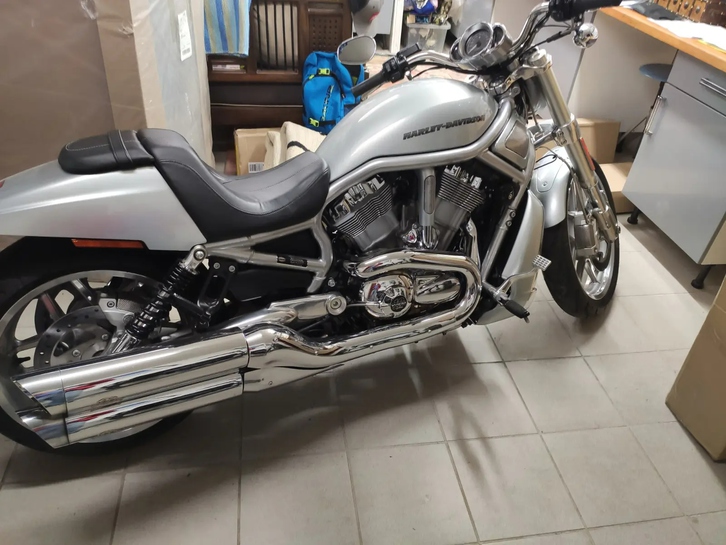 HARLEY-DAVIDSON VRSCDX Night Rod Special ABS