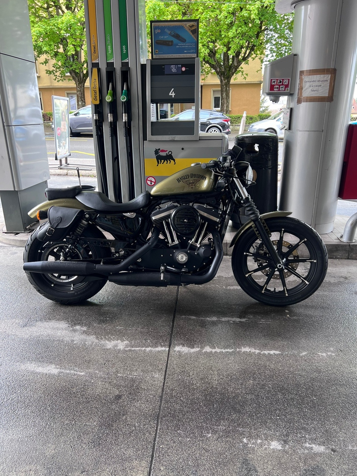HARLEY-DAVIDSON XL 883 N