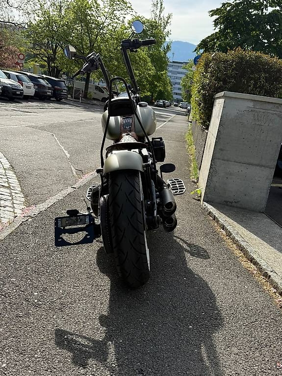 Harley-Davidson FLSS Softail Slim S110 ABS zu verkaufen HARLEY-DAVIDSON HARLEY-DAVIDSON FLSS Softail Slim S110 ABS