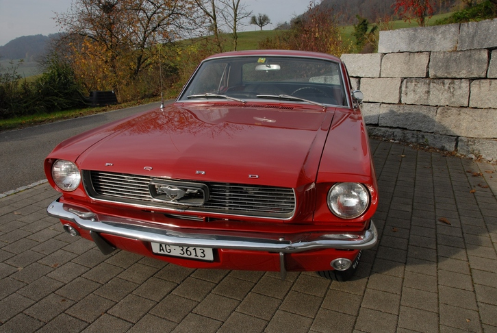 Ford Mustang 4.7 V8 Coupe in Top Zustand FORD FORD MUSTANG 4.7 V8 Coupe