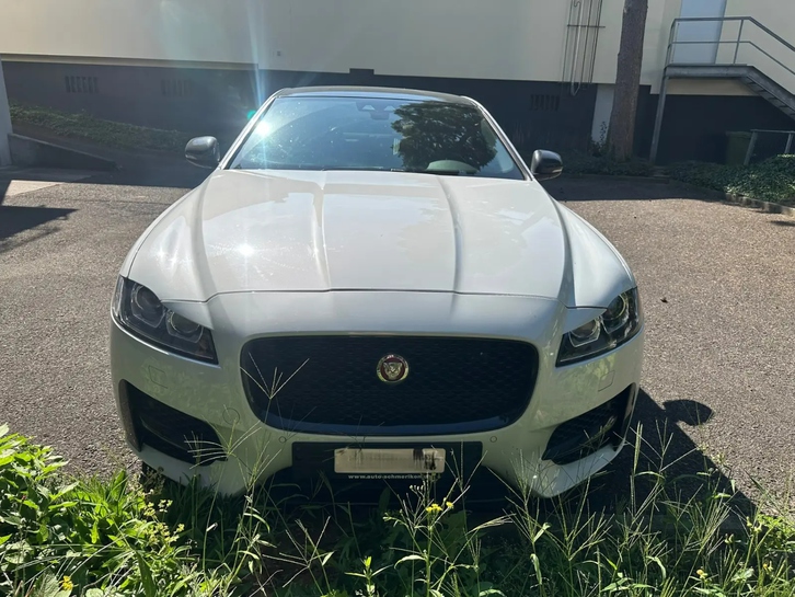 Jaguar XF 3.0 V6 D S - Luxus, Leistung, Eleganz Jaguar Jaguar XF 3.0 V6 D S