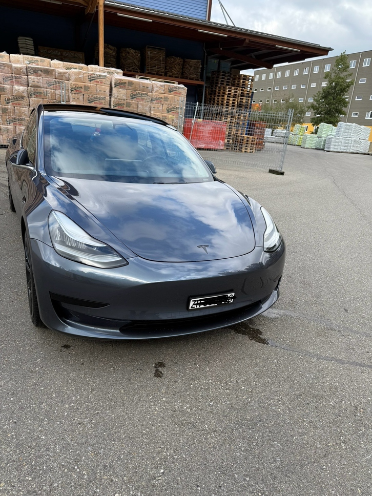 Tesla Model 3 Standart Range Plus
