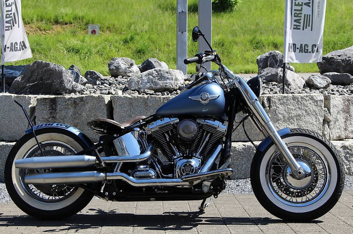 HARLEY-DAVIDSON Softail FLSTN Deluxe