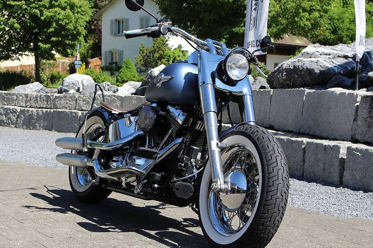 HARLEY-DAVIDSON Softail FLSTN Deluxe