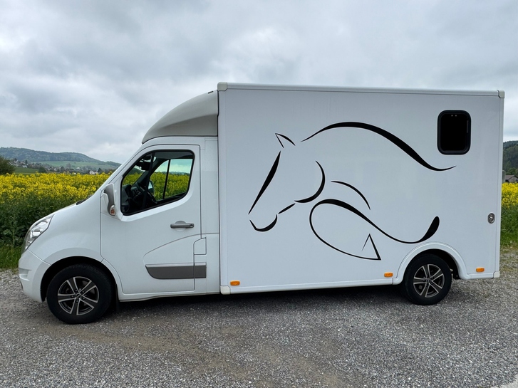 RENAULT Master T35 2.3dCi L3H1 Pferdetransporter