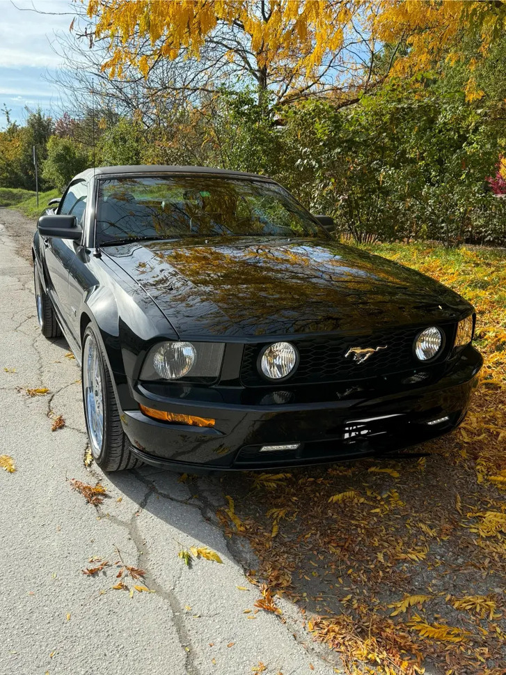 Ford Mustang GT 2025 in Top Zustand FORD FORD MUSTANG GT