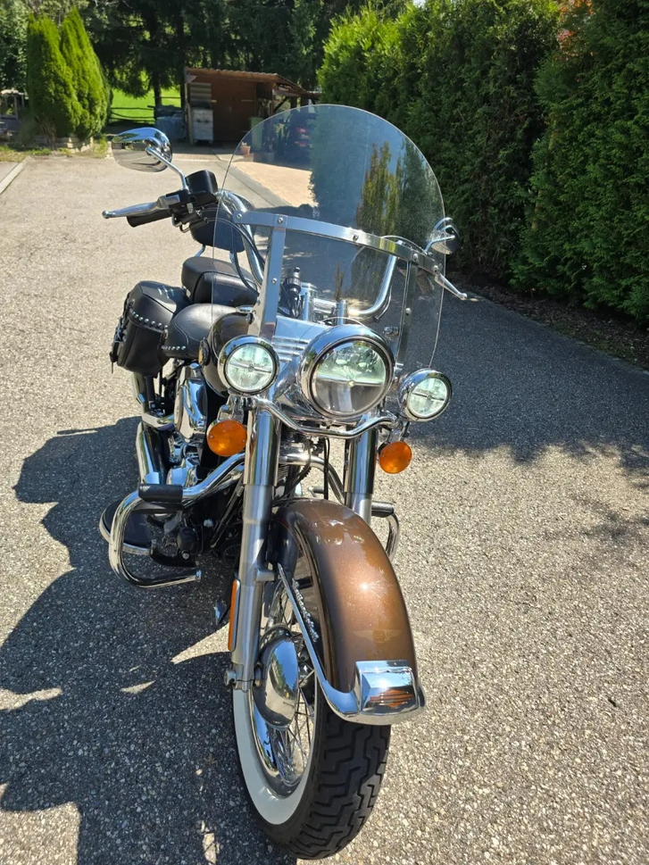 Harley-Davidson FLSTC Heritage Classic Anniv. Edition HARLEY-DAVIDSON HARLEY-DAVIDSON FLSTC Softail Heritage Classic ABS Anniversasry