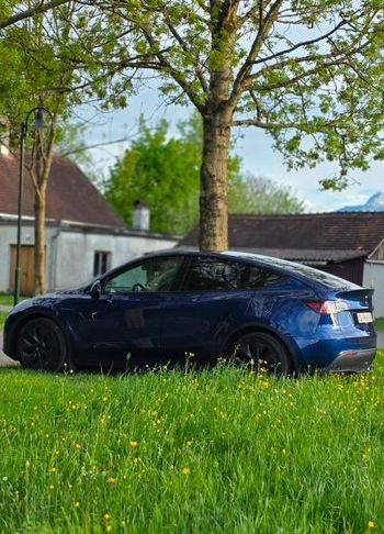 Kaufen Sie Tesla Model Y - Effizient & Innovativ Tesla Tesla Model Y Basis