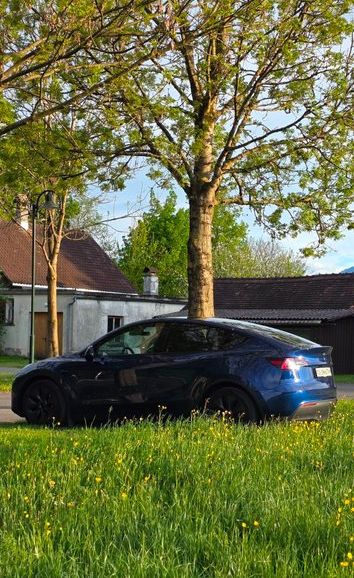 Kaufen Sie Tesla Model Y - Effizient & Innovativ Tesla Tesla Model Y Basis