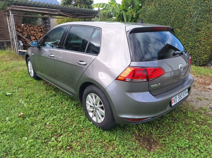 VW Golf VII 1.4 TGI EcoF Highline