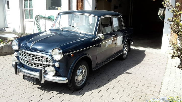 FIAT 1100 Special in Top Zustand - Liebhaberfahrzeug FIAT FIAT 1100 Special