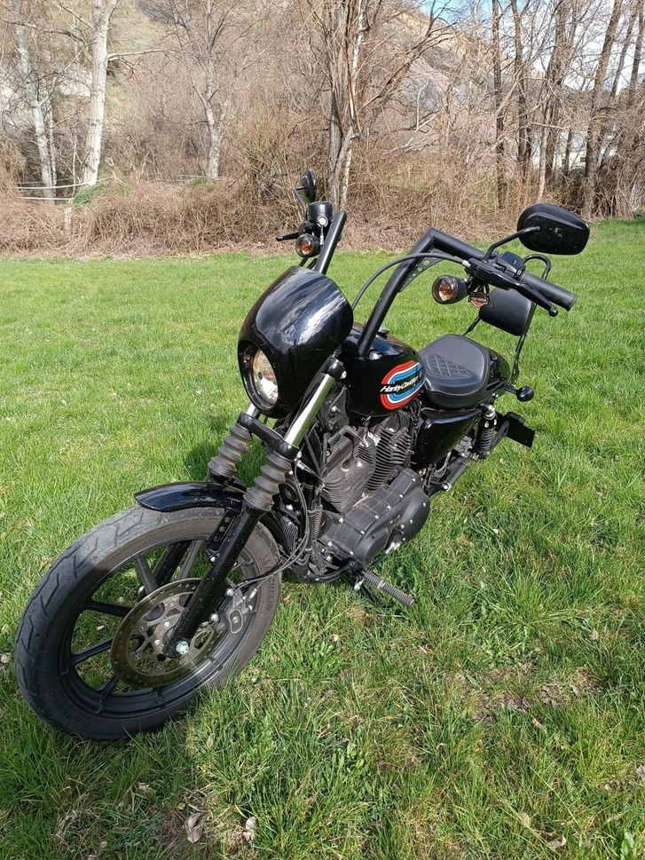 HARLEY-DAVIDSON XL 1200 NS Iron ABS