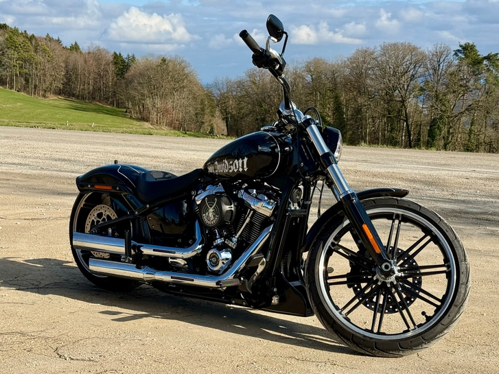HARLEY-DAVIDSON FXBRS Breakout 114