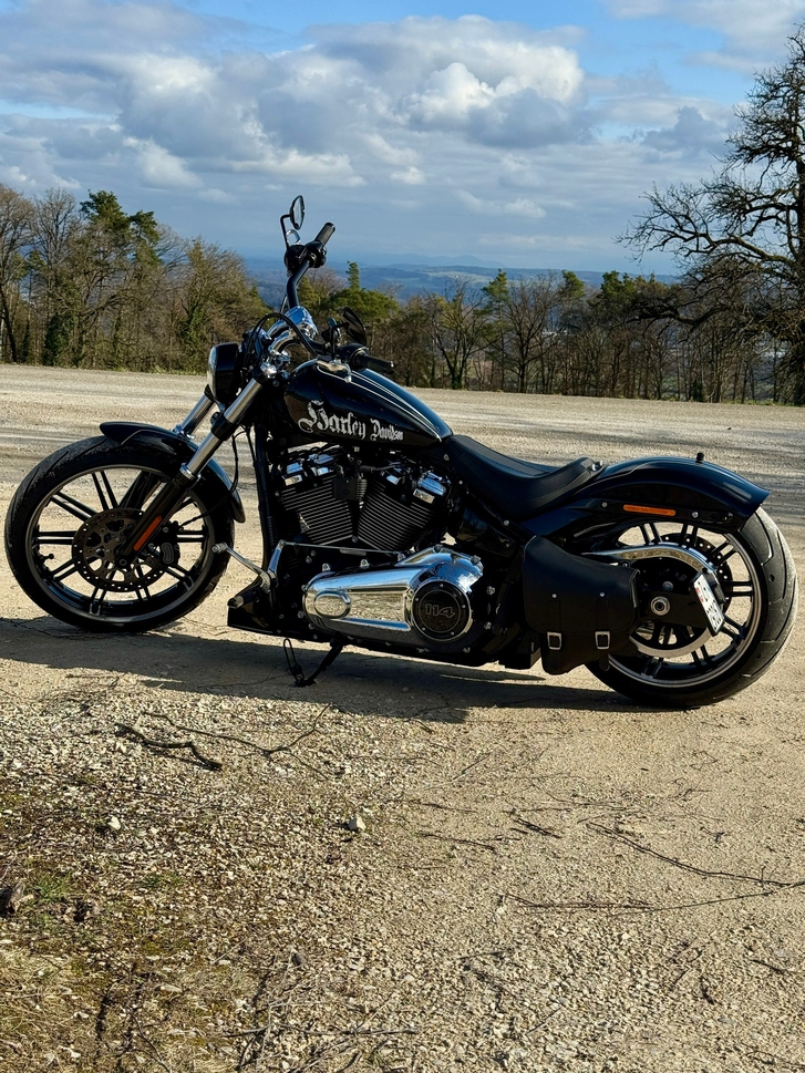 HARLEY-DAVIDSON FXBRS Breakout 114