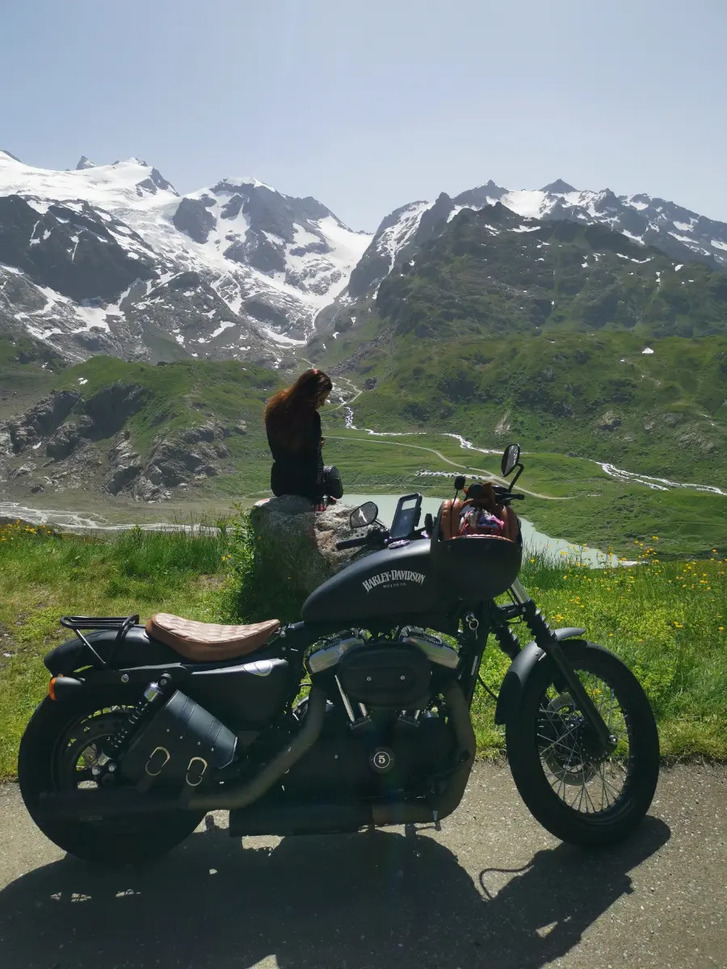 HARLEY-DAVIDSON XL 1200 N Sportster Nightster