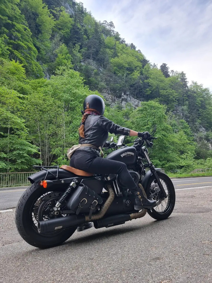HARLEY-DAVIDSON XL 1200 N Sportster Nightster