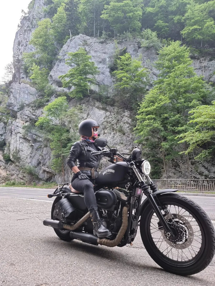 HARLEY-DAVIDSON XL 1200 N Sportster Nightster