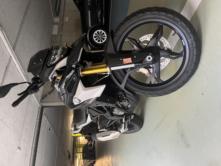 BMW G 310 GS
