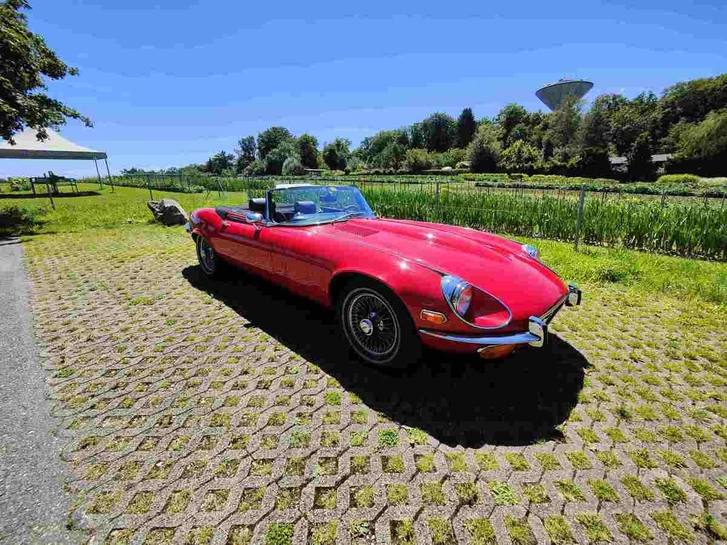 Jaguar E-Type V12