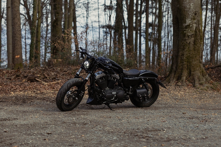 HARLEY-DAVIDSON XL 1200 X Forty Eight