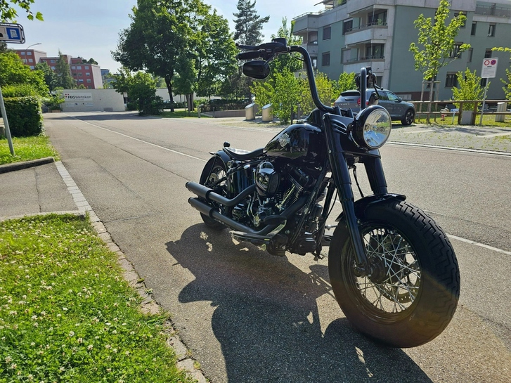 HARLEY-DAVIDSON Softail Slim FLS