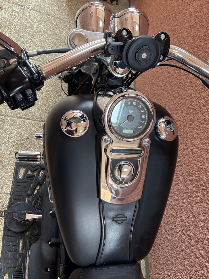 Harley-Davidson FXDF Fat Bob 103 ABS - Ansehen! HARLEY-DAVIDSON HARLEY-DAVIDSON FXDF Dyna Fat Bob 103 ABS C