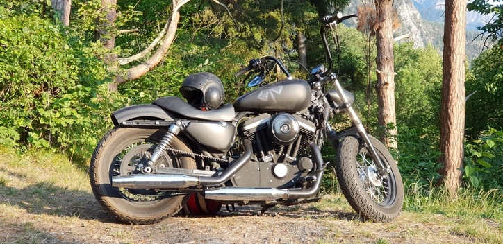 HARLEY-DAVIDSON XL 883 Sportster Injection