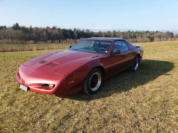 Pontiac Firebird 5.0 V8 Trans Am zu verkaufen Pontiac Pontiac Firebird 5.0 V8 Trans Am