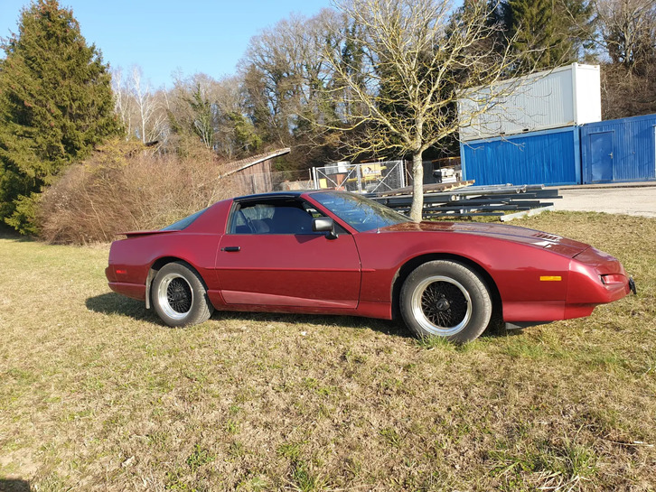 Pontiac Firebird 5.0 V8 Trans Am zu verkaufen Pontiac Pontiac Firebird 5.0 V8 Trans Am