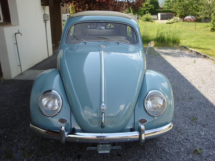 VW Käfer Ovali VW Käfer Ovali