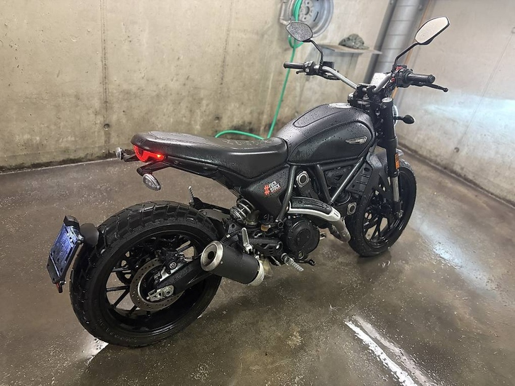 DUCATI Scrambler 803 Icon