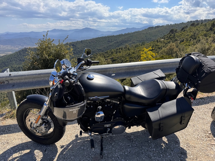 HARLEY-DAVIDSON XL 1200 CB Sportster Custom ABS