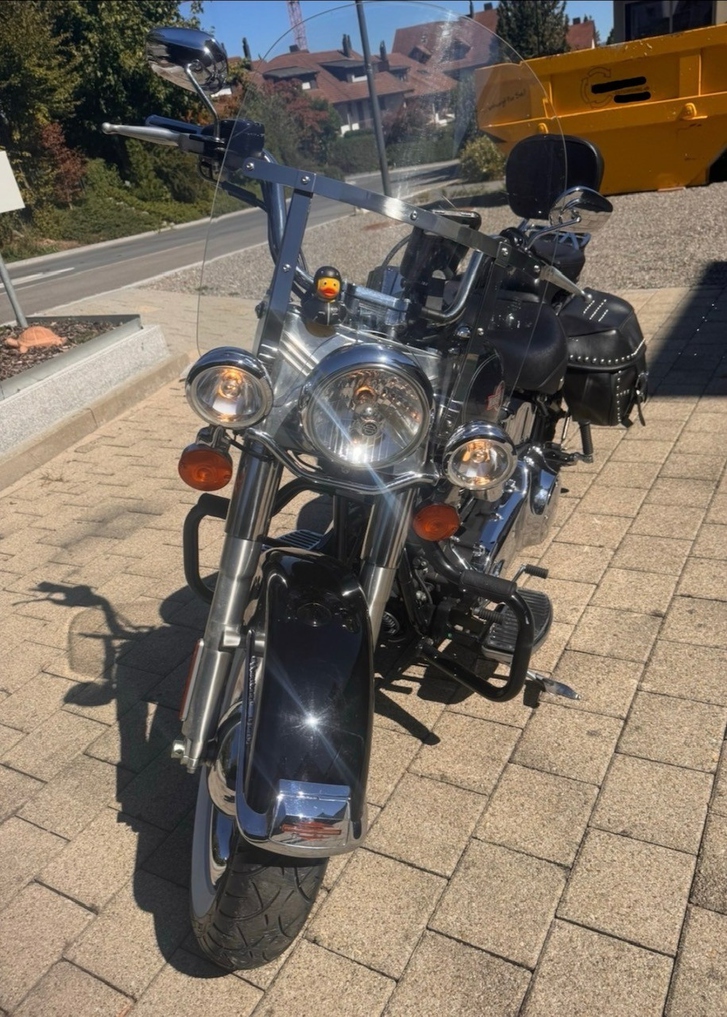 Harley-Davidson FLSTCI Softail Classic kaufen HARLEY-DAVIDSON HARLEY-DAVIDSON FLSTCI Softail Classic