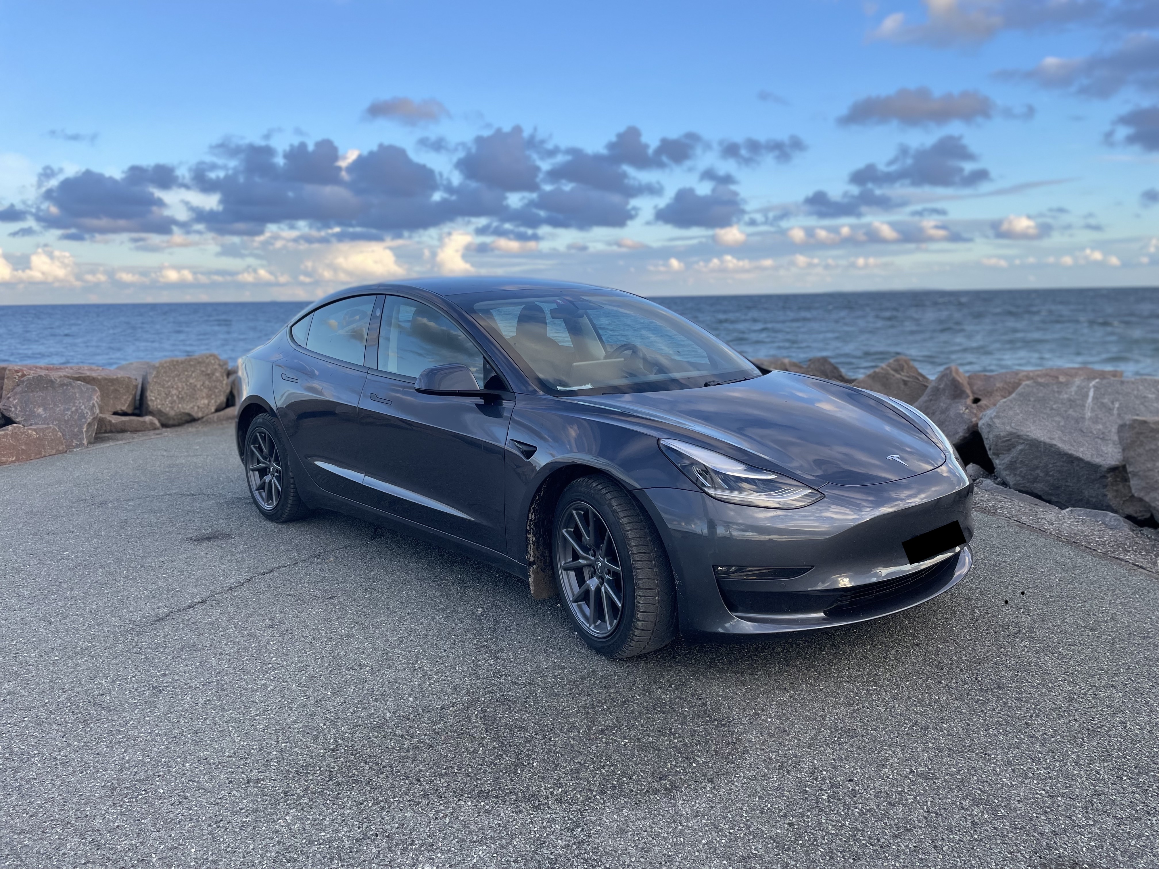 Tesla Model 3 Dual Motor + Long Range + FSD