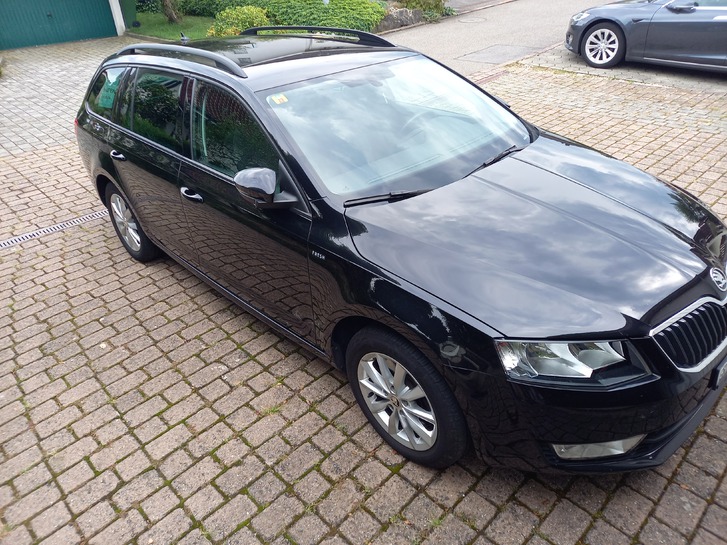 Skoda Octavia Kombi 4x4 DSG 2.0, 184 PS Skoda Octavia Kombi 4x4 DSG 2.0, 184 PS Skoda 1
